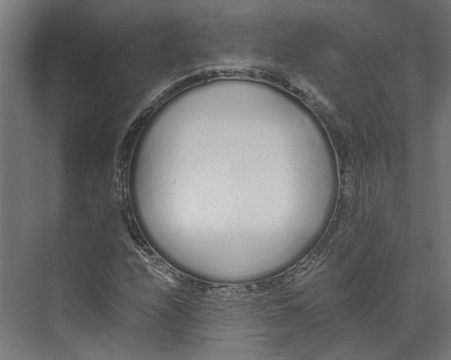 X0000073511208200608281658