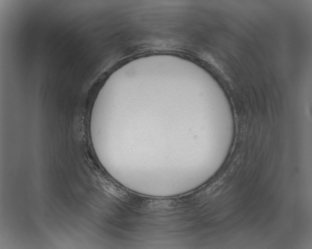 X0000073511211200608281658