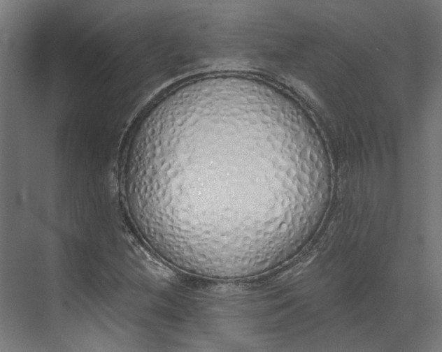 X0000073511212200608281658