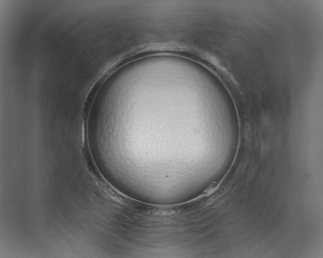 X0000073511221200608281658