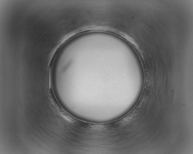X0000073511223200608281658