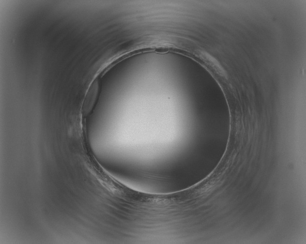 X0000073511226200608281658