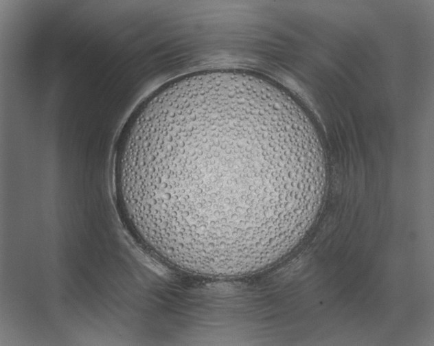 X0000073511227200608281659
