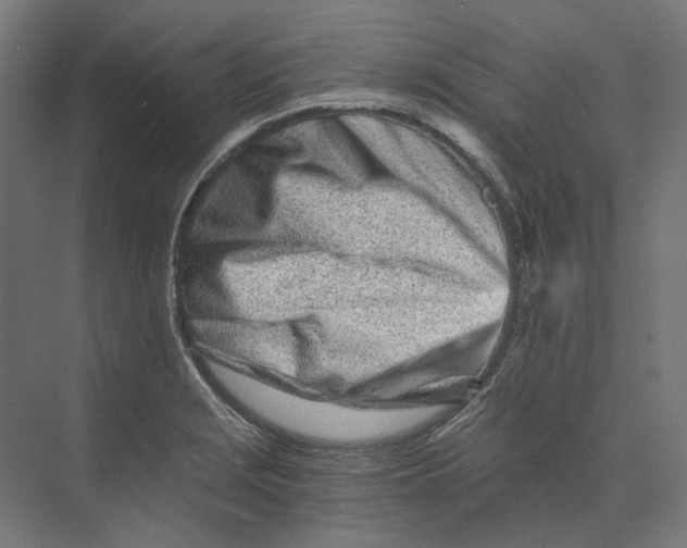 X0000073511229200608281659
