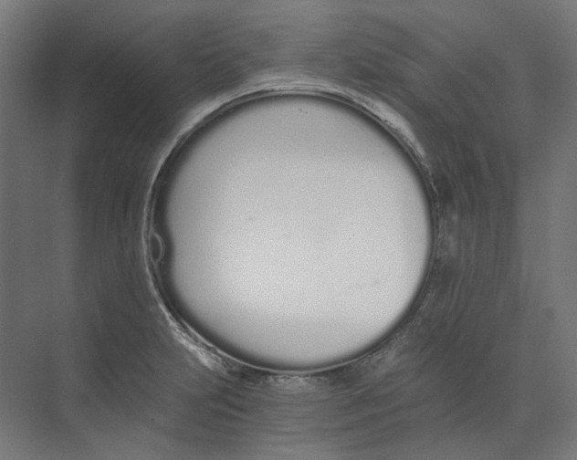 X0000073511231200608281659