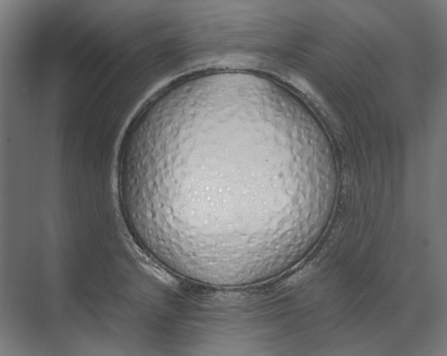 X0000073511232200608281659