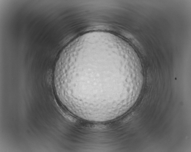X0000073511233200608281659