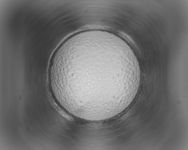 X0000073511236200608281659