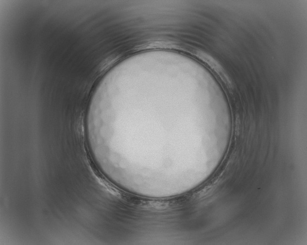 X0000073511241200608281659