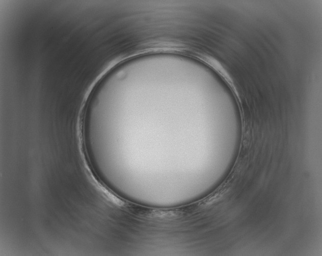 X0000073511243200608281659