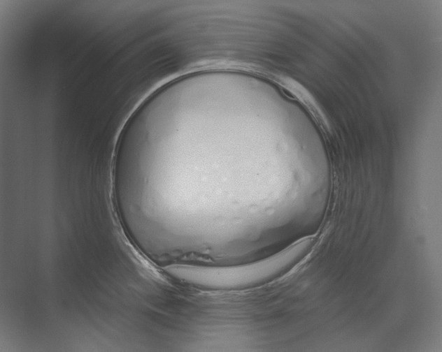 X0000073511244200608281659