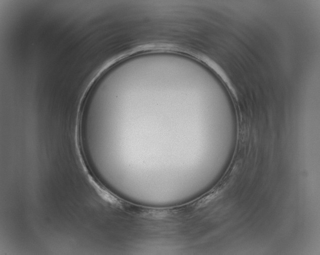 X0000073511245200608281659