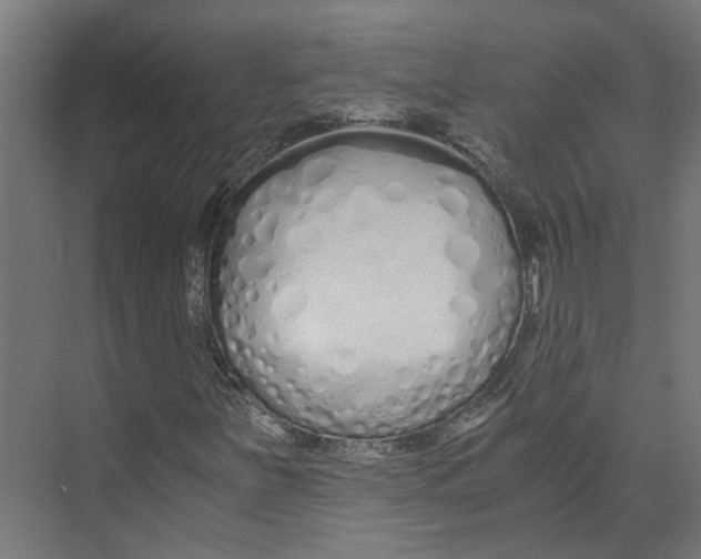 X0000073511251200608281658