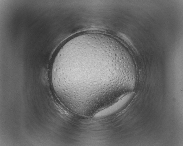 X0000073511260200608281658