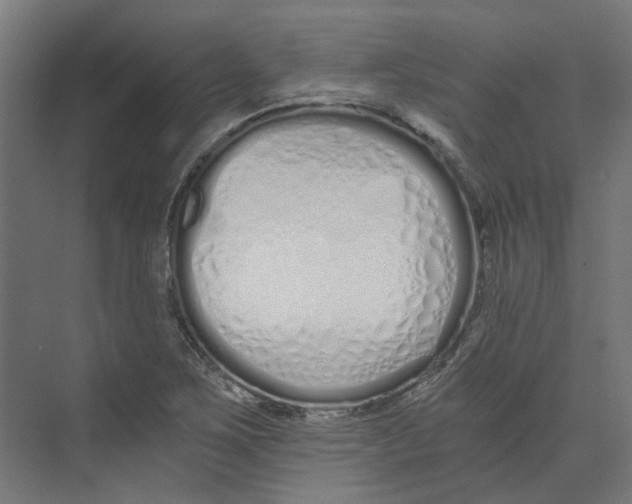 X0000073511267200608281658