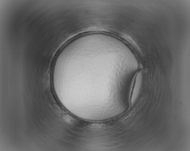 X0000073511268200608281658
