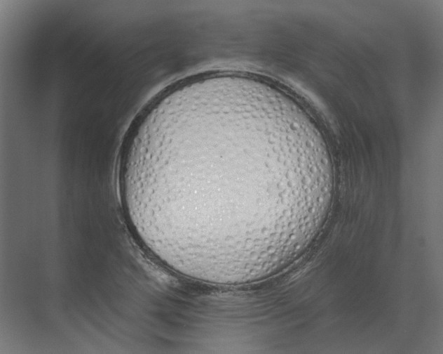 X0000073511272200608281658