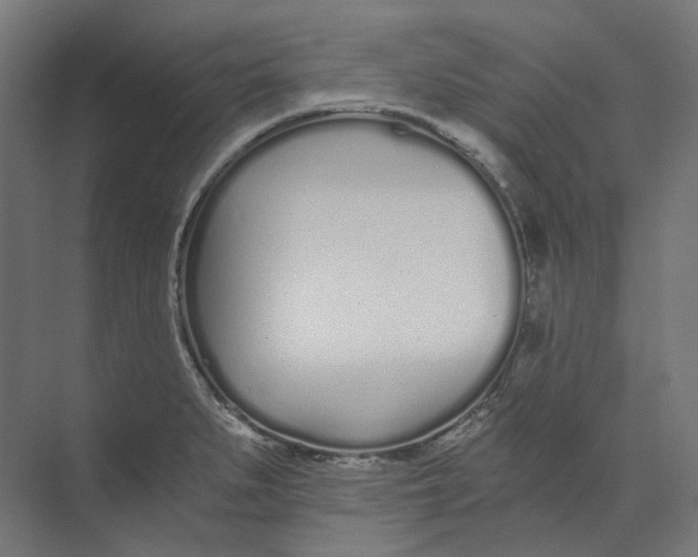 X0000073511279200608281658