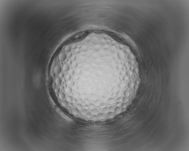 X0000073511287200608281657