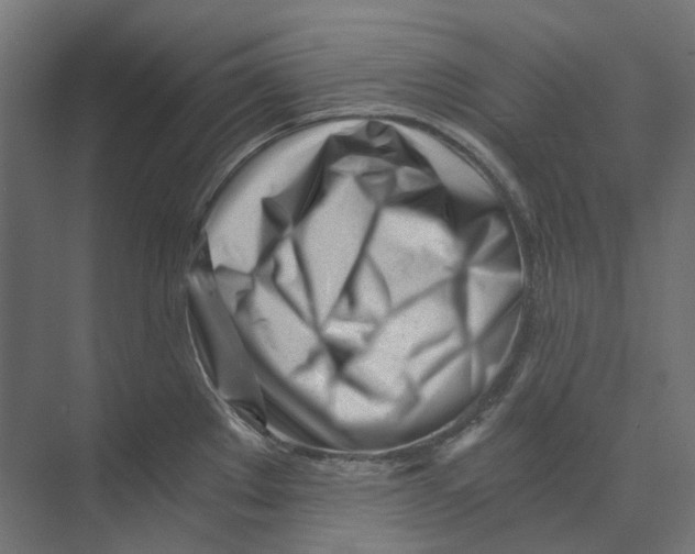 X0000073511289200608281657