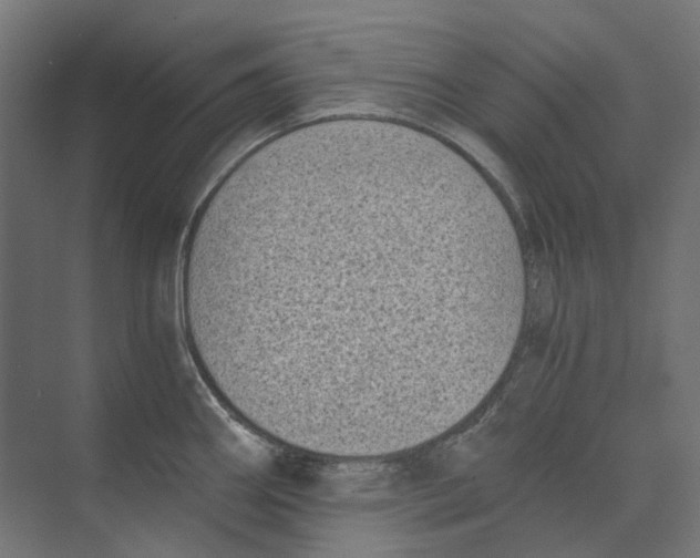 X0000073511290200608281657