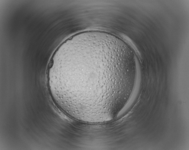 X0000073511292200608281657