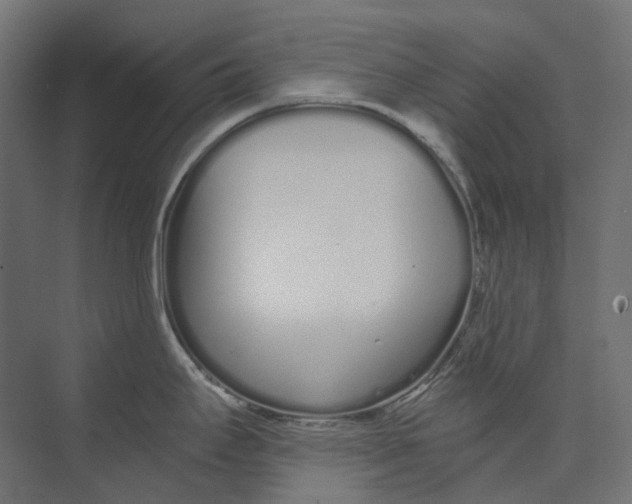 X0000073511295200608281657