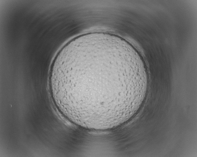 X0000073511296200608281657