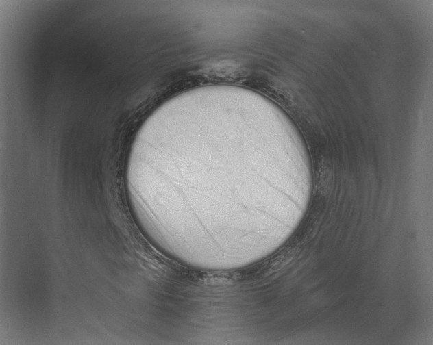 X0000073511297200608281656