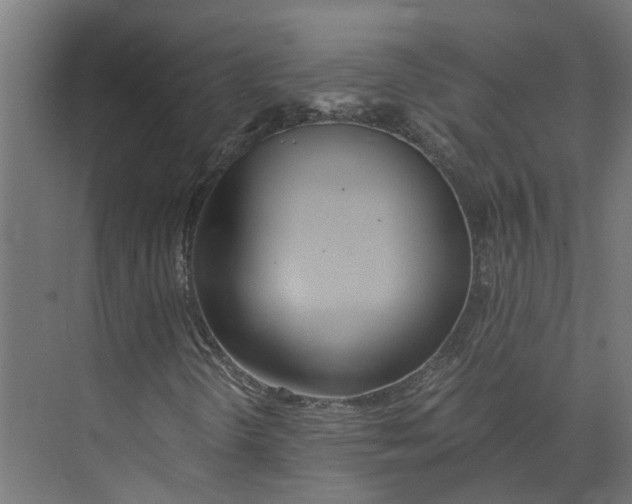 X0000073511298200608281656