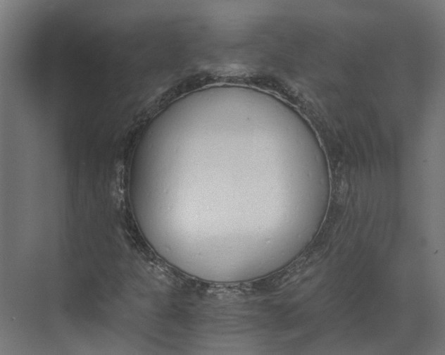 X0000073511301200608281657