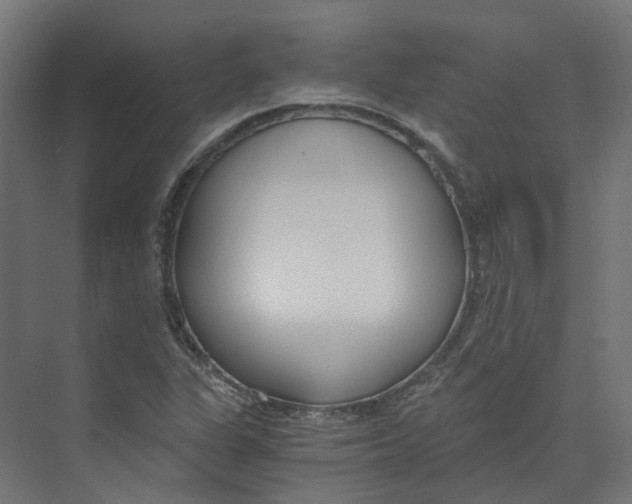 X0000073511311200608281657