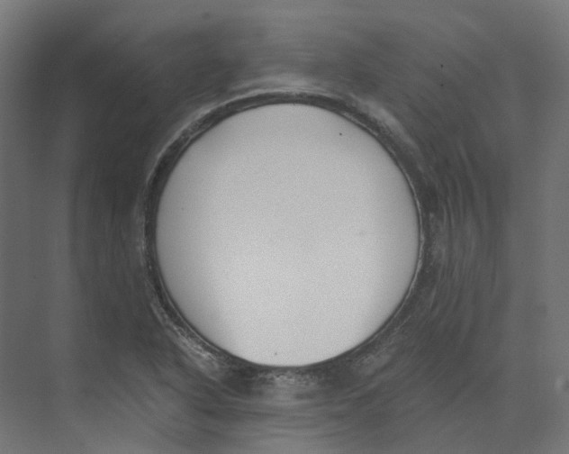 X0000073511318200608281657