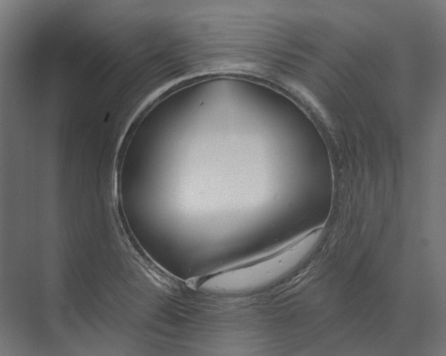 X0000073511324200608281657