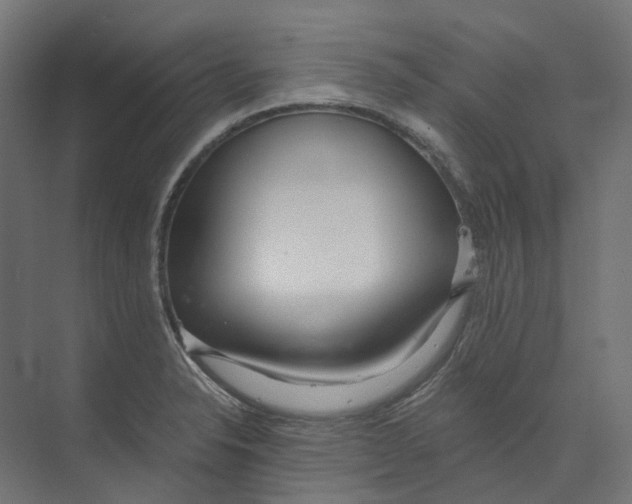 X0000073511326200608281657