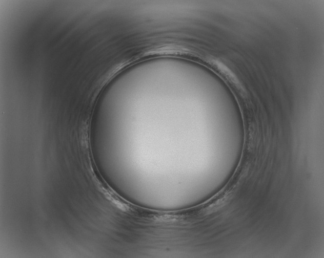 X0000073511329200608281657