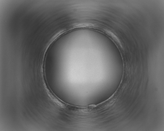 X0000073511330200608281657