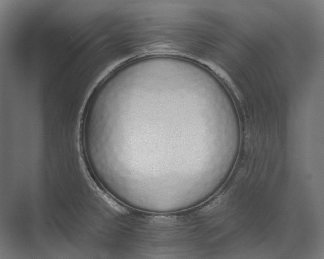 X0000073511333200608281657