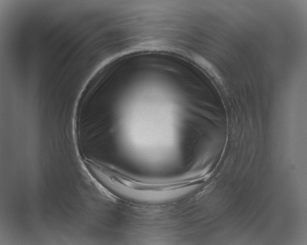 X0000073511334200608281657