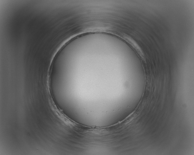 X0000073511340200608281657