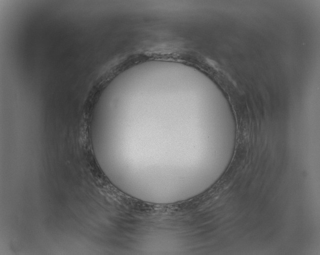 X0000073511350200608281656