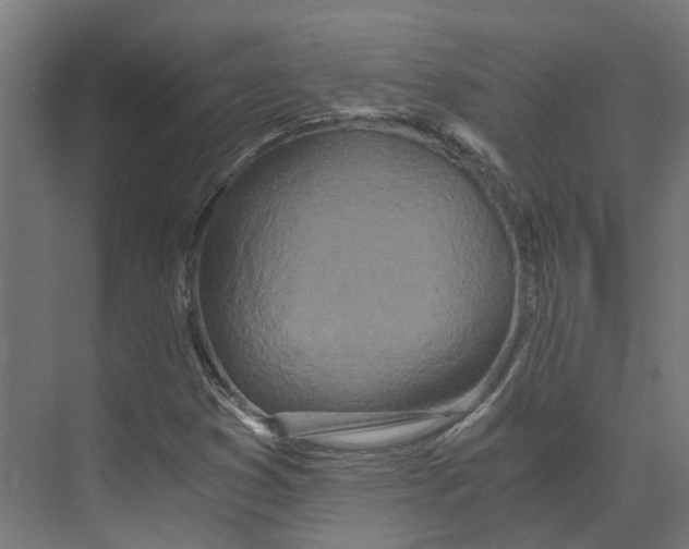 X0000073511353200608281656