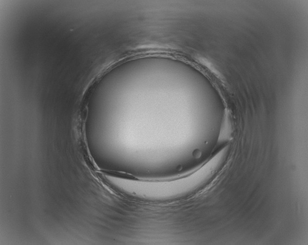 X0000073511357200608281656