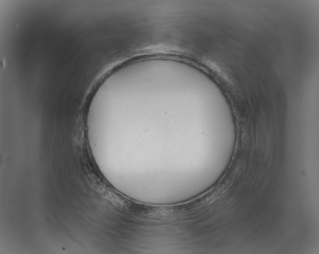 X0000073511358200608281656