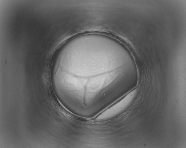 X0000073511359200608281656