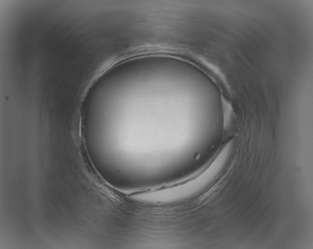 X0000073511365200608281656