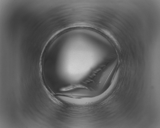 X0000073511372200608281656