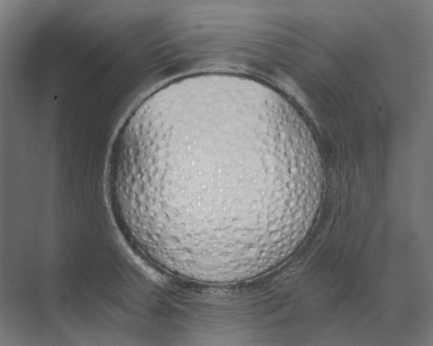 X0000073511379200608281656