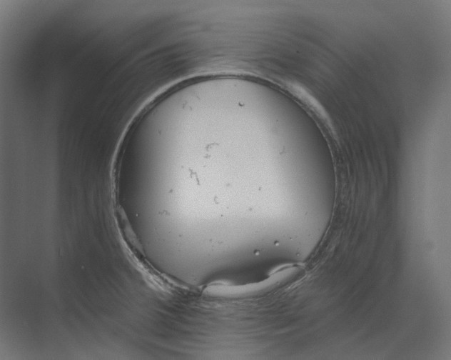 X0000073511380200608281656