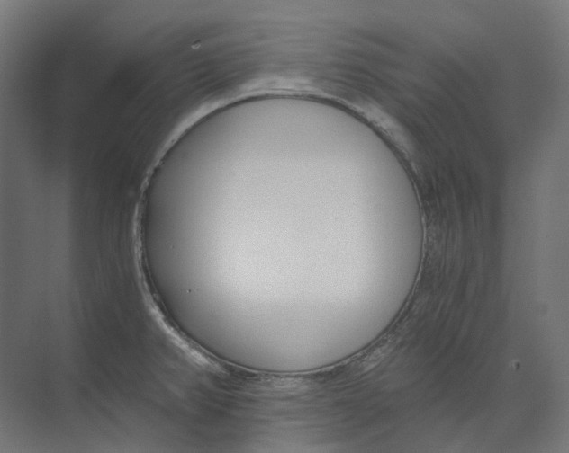 X0000073511382200608281656